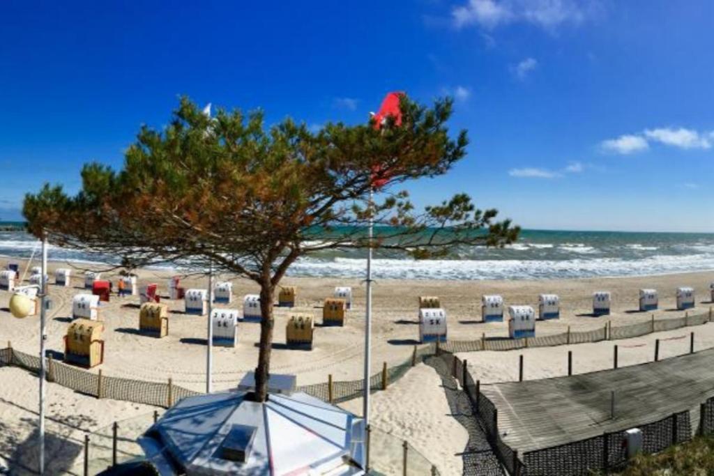 Seeblick 2 Apartment Dahme  Bagian luar foto